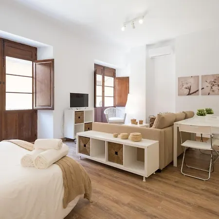 Apartment Santiago Premium Loft I Malaga