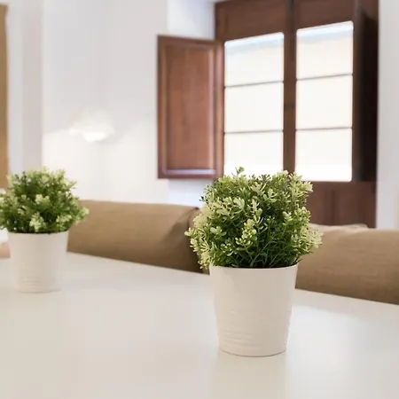 Santiago Premium Loft I *