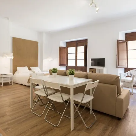 Santiago Premium Loft I Apartament Malaga