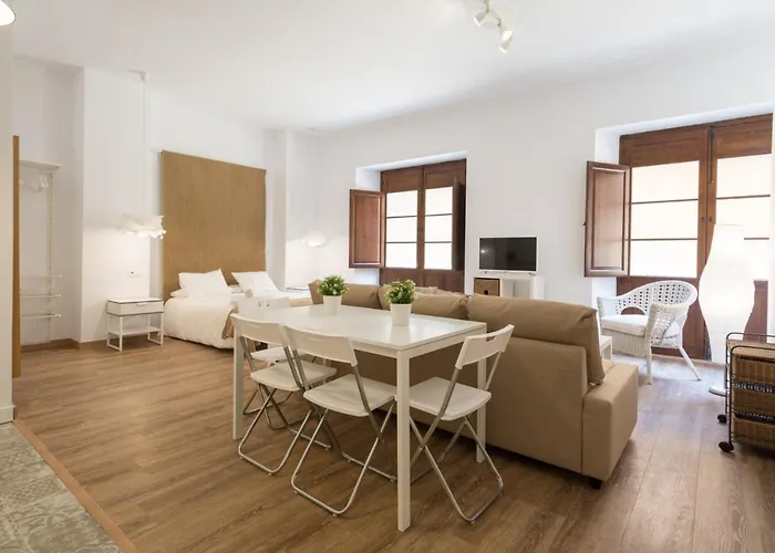 Santiago Premium Loft I Apartment Málaga