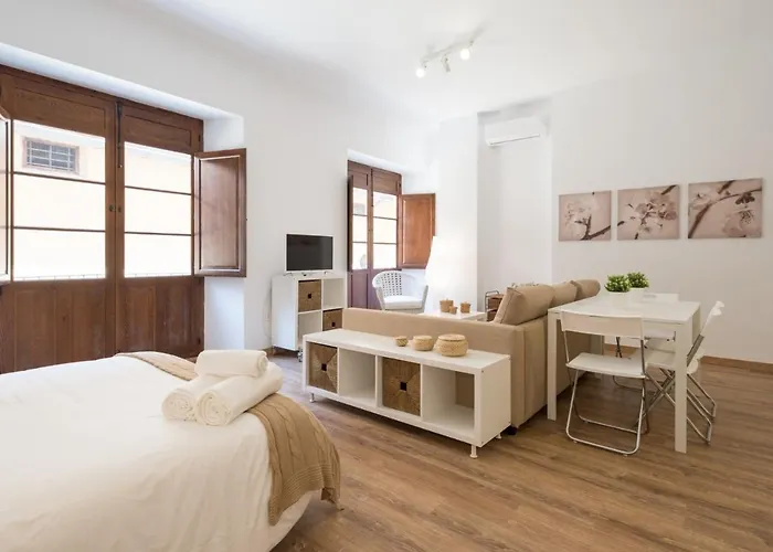 Apartment Santiago Premium Loft I Málaga
