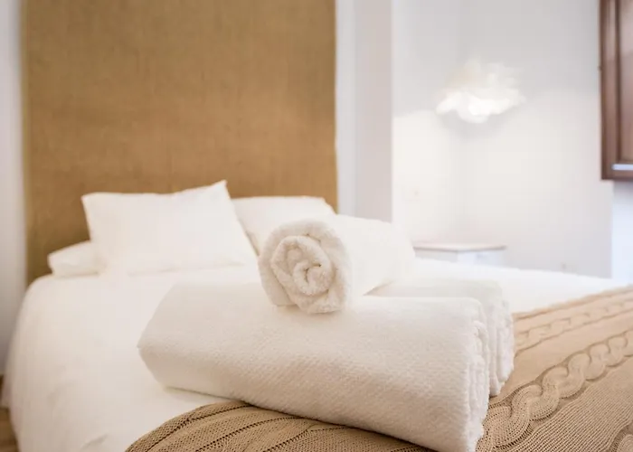 Santiago Premium Loft I Apartment Málaga
