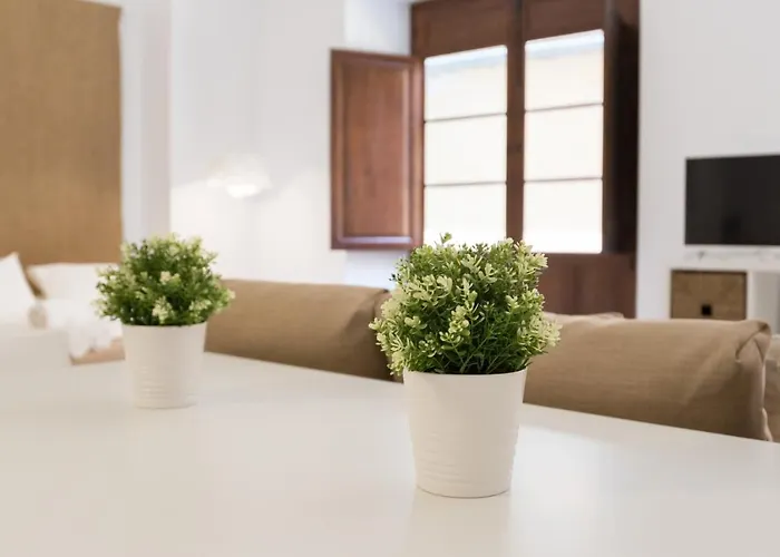 Santiago Premium Loft I *